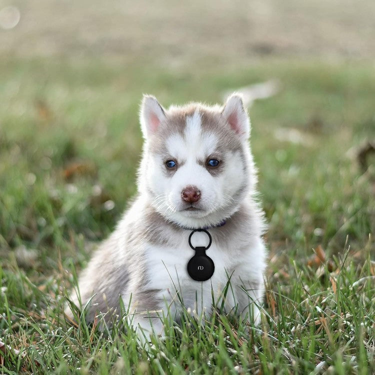 Nereides PU usnjen ovitek za Airtag, črna