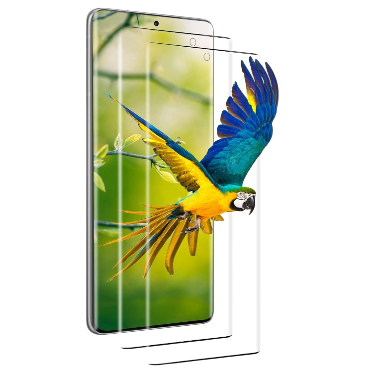 Zaščitno steklo za telefon Samsung Galaxy S21 Ultra, 2kos – Infostyle