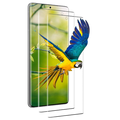 Zaščitno steklo za telefon Samsung Galaxy S21 Ultra, 2kos – Infostyle