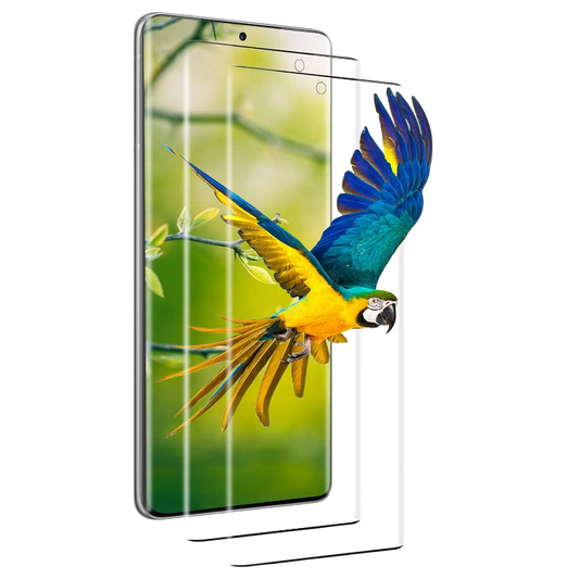 Zaščitno steklo za telefon Samsung Galaxy S21 Ultra, 2kos – Infostyle